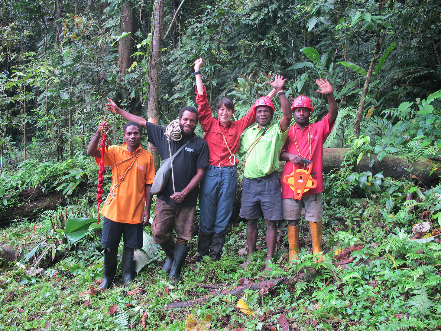 PNG expedition discovers largest trees at extreme altitudes